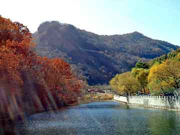 管家婆黑白马报图库，杜高打架